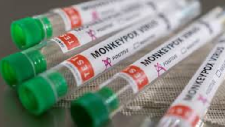 Maymun çiçeği virüsü nedir, nasıl bulaşır, semptomları nedir, Afrika’da son durum nedir?